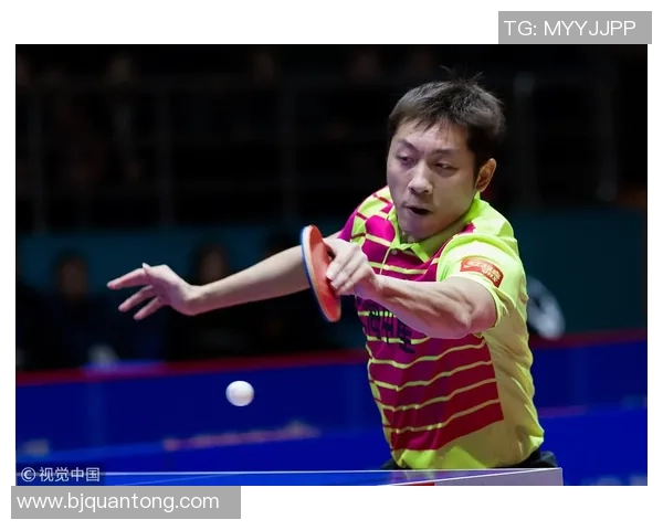 上海羽毛球队在总决赛积分榜上以67分稳居第一名展现强劲实力